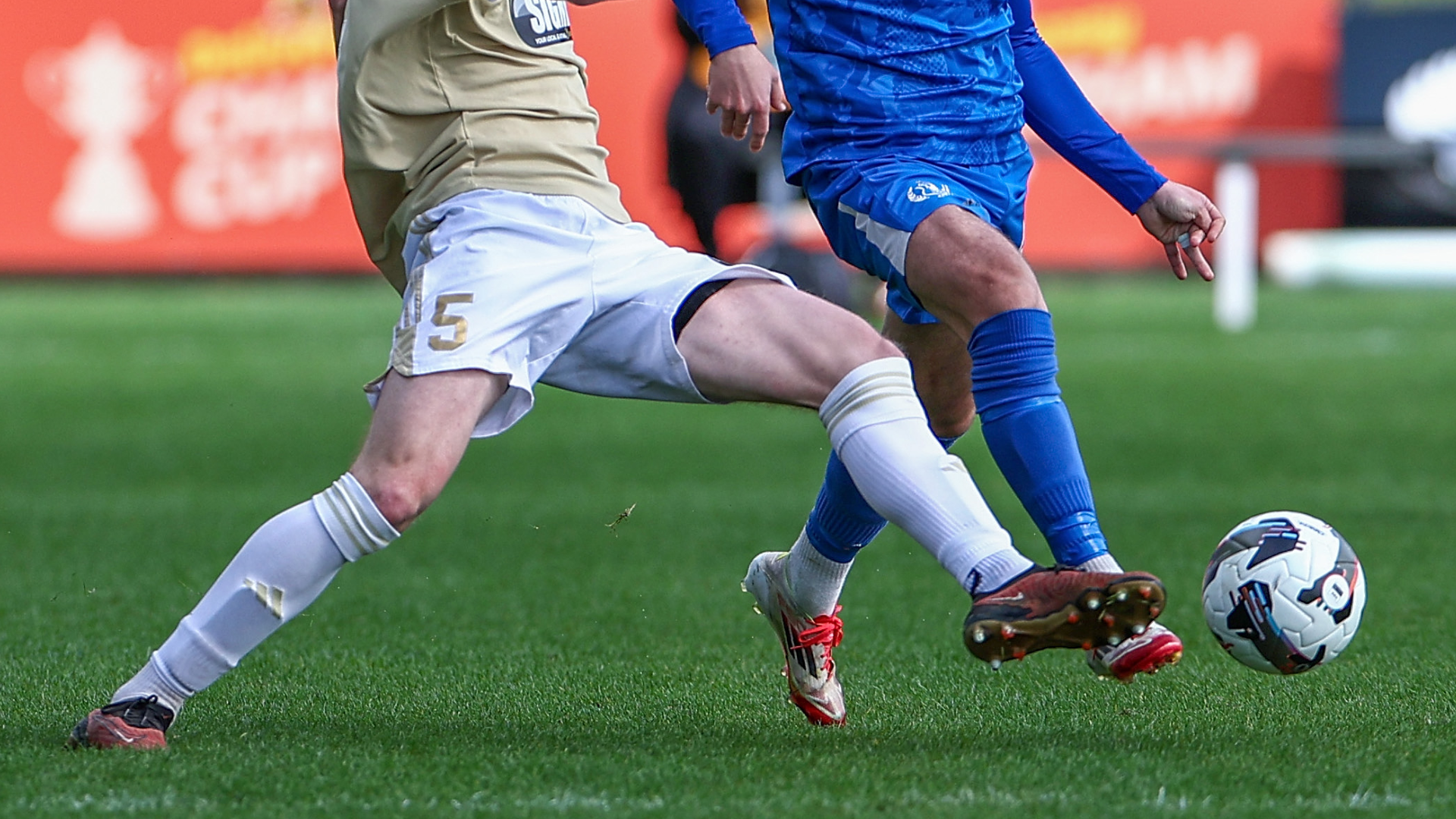 OFC Website Feature Image (13)