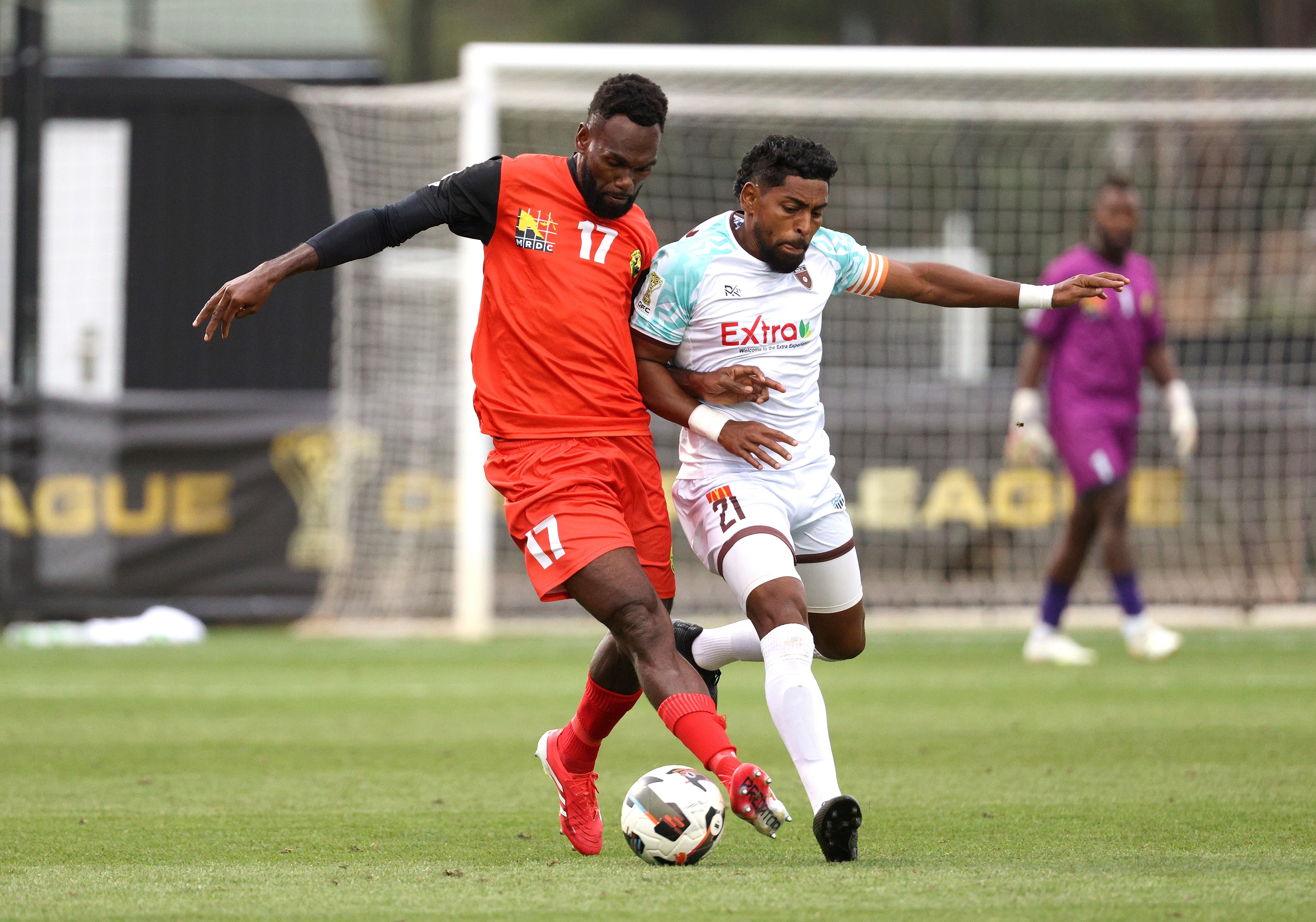 HEK V BFC 004 Phototeknz